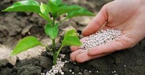 Agrochemicals Market: Embracing Eco-friendly Solutions